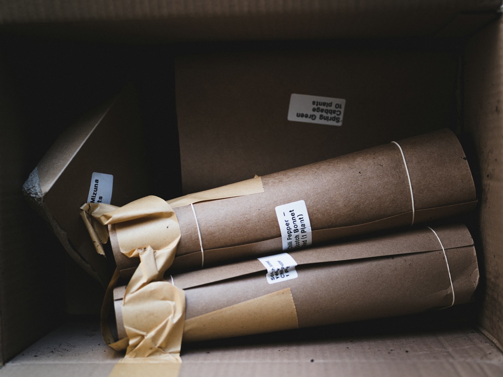Rolled artwork and long items wrapped in kraft paper