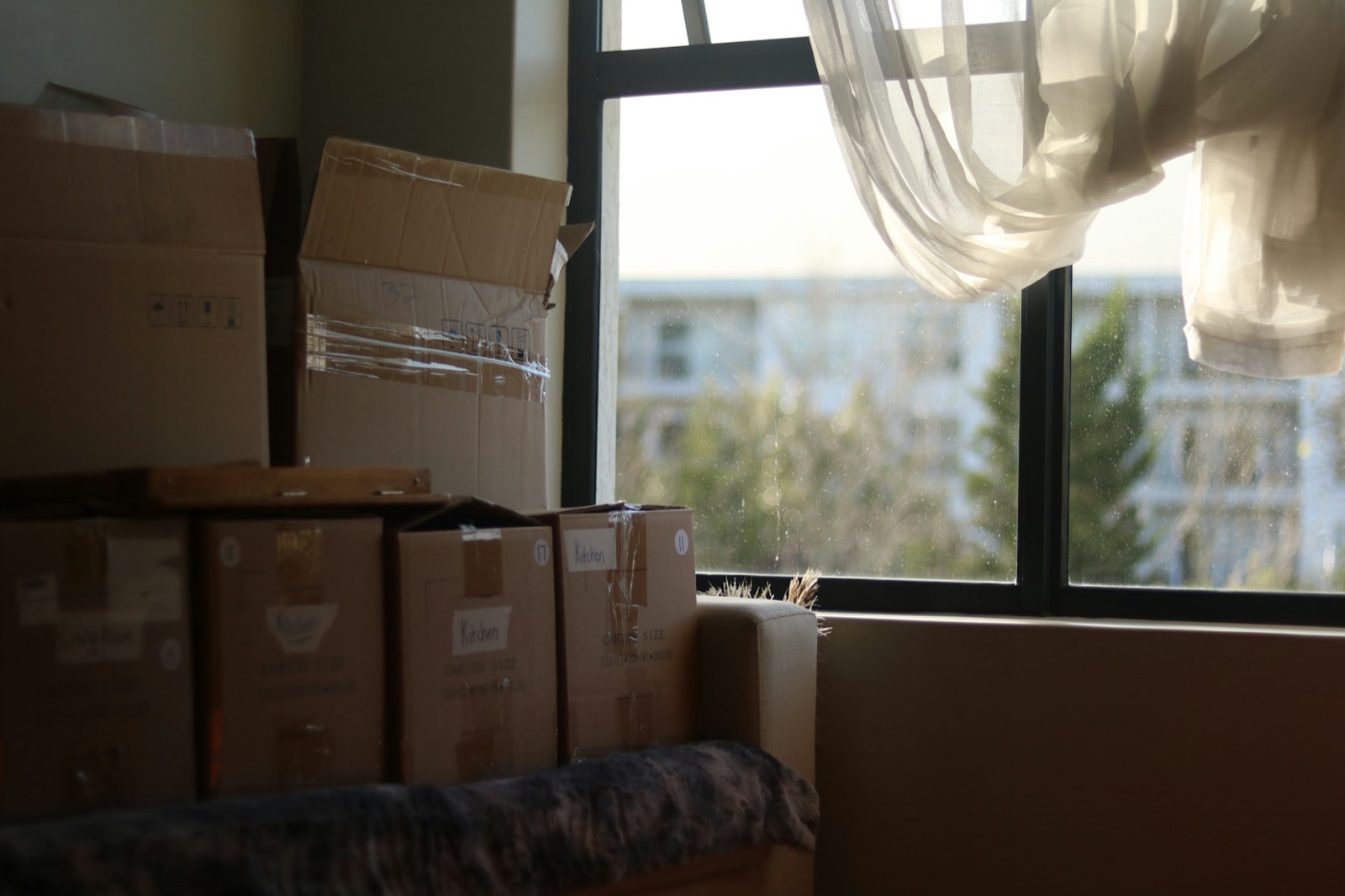 Tall wardrobe boxes stacked by a window